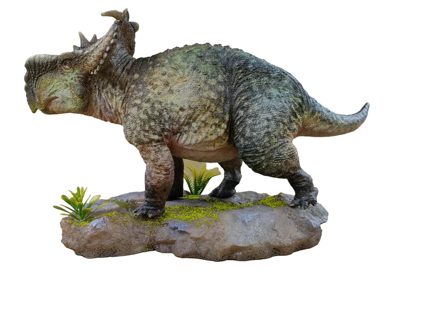 Amazon | BACALYSO | HAOLONGGOOD 1/20 サイズ パキリノサウルス 31cm